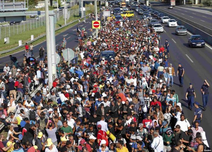 Австрия приостанавливает действие Шенгена из-за мигрантов