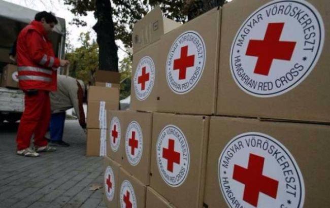 В Красном Кресте оценили количество пропавших без вести в Украине за время конфликта