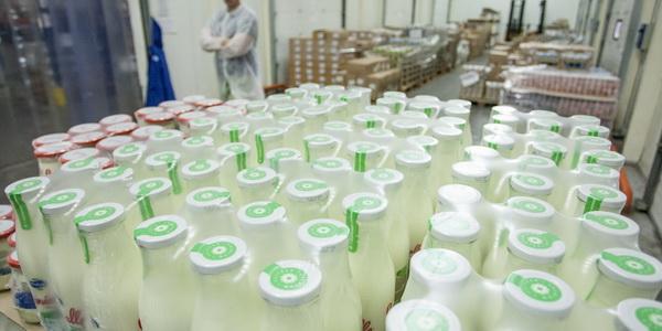 Украина начала экспорт молочной продукции в Китай