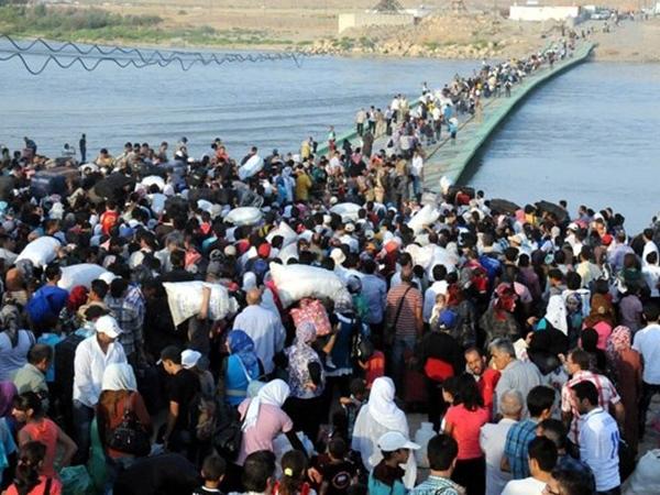 ЄС і Туреччина незабаром проведуть саміт з проблеми біженців