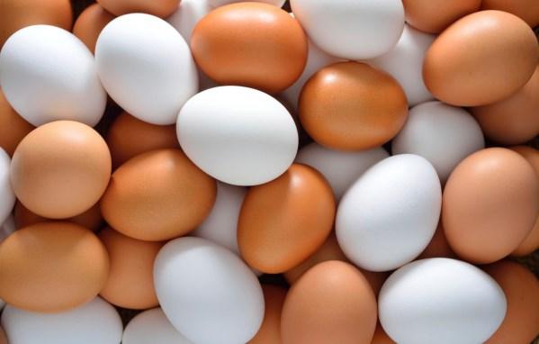 Завтра в Киеве будут раздавать свежие яйца