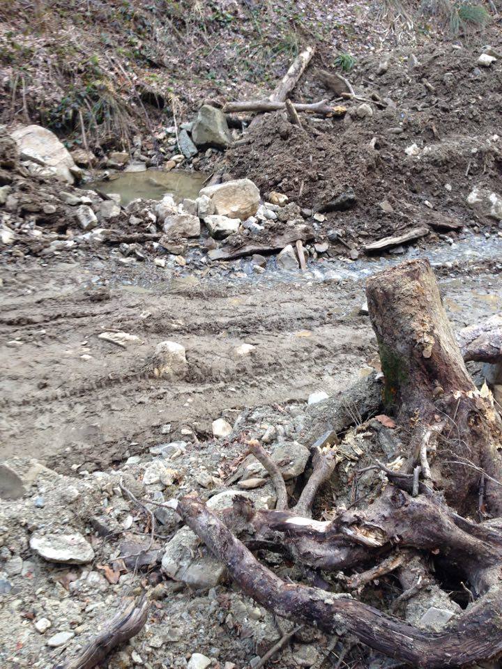 В Черновицкой области лесорубы уничтожили уникальный водопад (ФОТО)