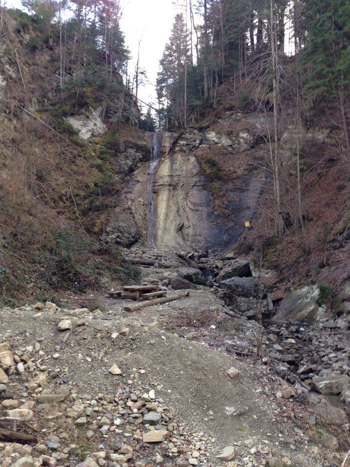 В Черновицкой области лесорубы уничтожили уникальный водопад (ФОТО)