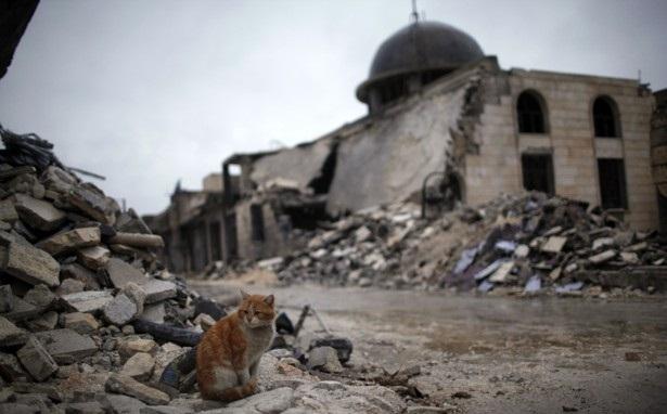 У Bellingcat есть 1,5 тысячи видеодоказательств бомбежек РФ больниц, школ и мечетей Сирии