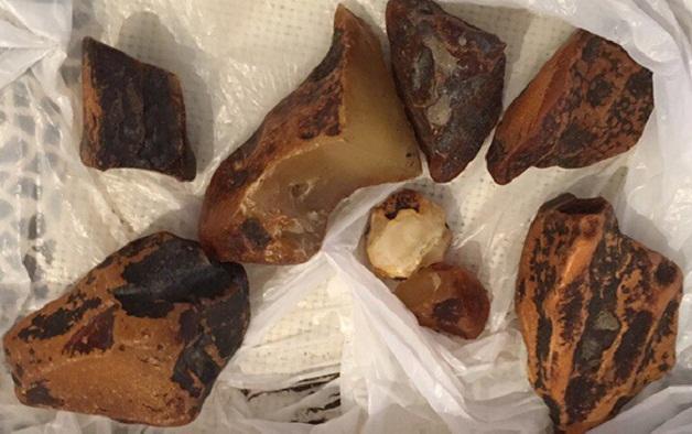 На Рівненщині вилучили камінь бурштину вагою майже 2 кг (ФОТО)