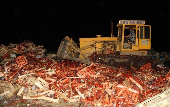 На Кубані знищили 38 т санкційної полуниці з України (ФОТО)