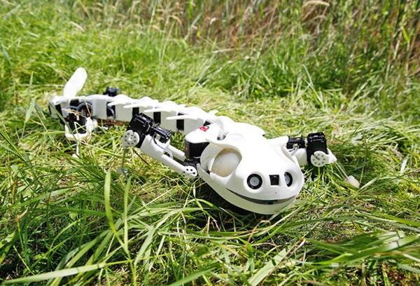 В Швейцарии робота-саламандру напечатали на 3D-принтере (ФОТО, ВИДЕО)