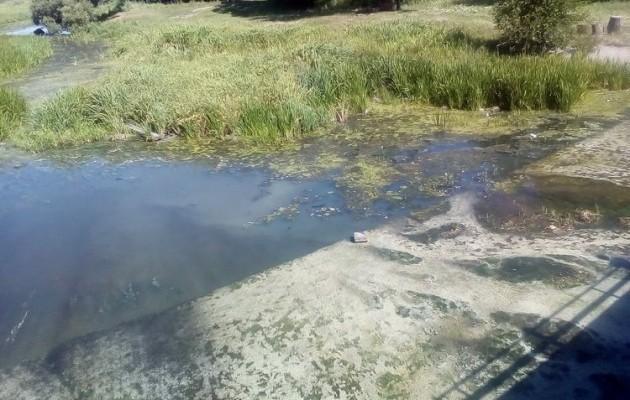 Мертва вода: річка Гуйва на Житомирщині залишилася без риби