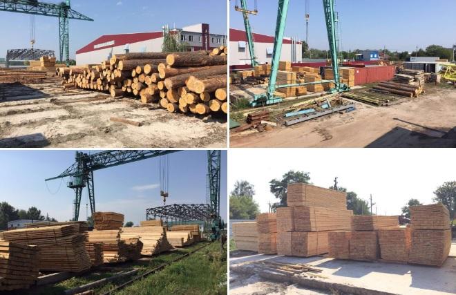 ГПУ вилучила лісоматеріали на 1 млн грн в порту Чорноморська та на Київщині (ФОТО)