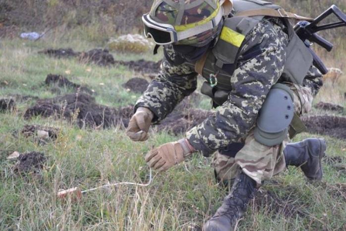 Німеччина виділить на розмінування Донбасу півмільйона євро