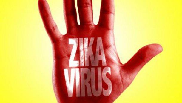 Найдены антитела для нейтрализации вируса Зика