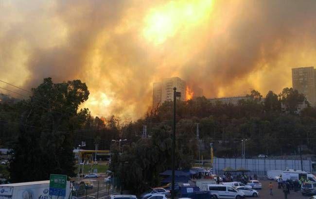 В Ізраїлі вирують масштабні пожежі, Нетаньягу заявляє про підпали (ВІДЕО)