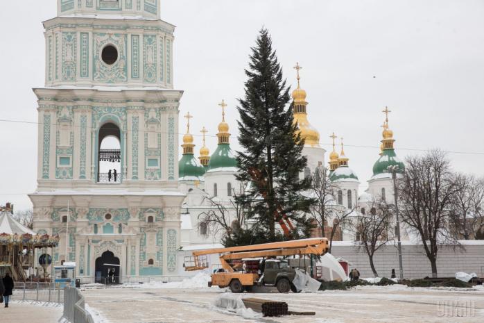 В Киеве установили главную елку страны (ФОТО)