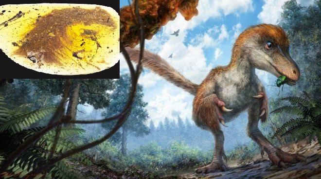 Унікальна знахідка: у М’янмі в бурштині виявили хвіст динозавра (ФОТО)