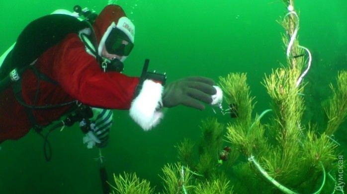Дайверы в новогодних костюмах установили елку на дне Одесского залива (ФОТО)