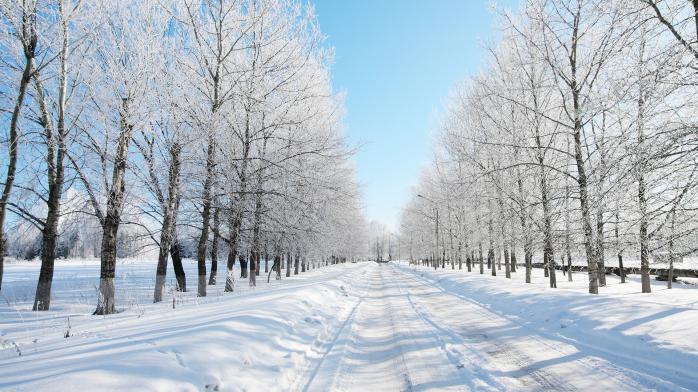 После рождественских морозов в Украину придет потепление