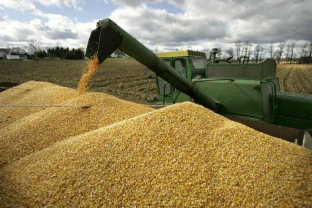 НАБУ разоблачило схему хищения урожая на 50 млн грн