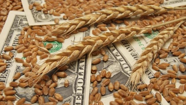 Зерновая корпорация Украины понесла 60 млн долл. убытков из-за действий двух сотрудников — НАБУ