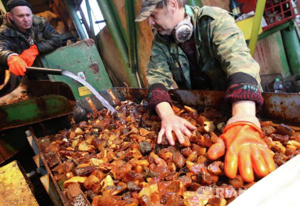Нардепы не набрали голосов для законопроекта о прекращении незаконной добычи янтаря