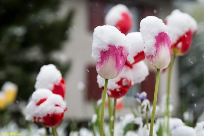 Украинцев предупреждают о новых майских заморозках