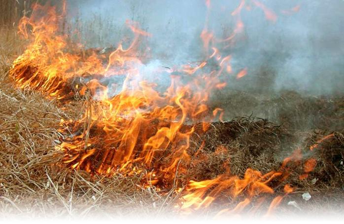 Рятувальники оголосили високу пожежну небезпеку у Чорнобилі та низці областей