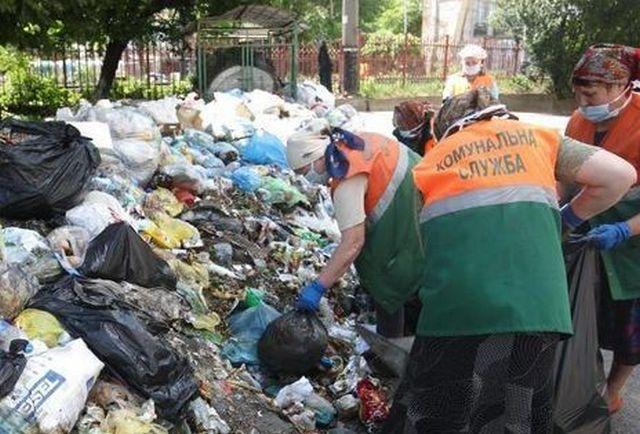 Львів поступово очищається: за день вивезено 270 т накопичених відходів
