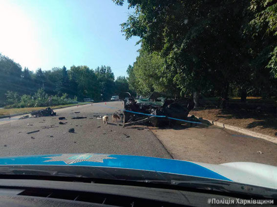 Фото: части от машины разлетелись на несколько метров от места аварии