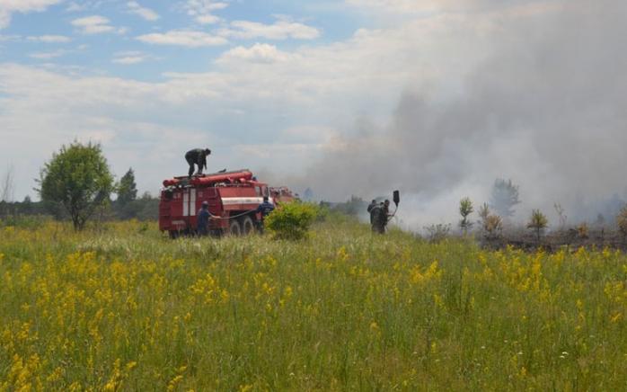 Спасатели полностью ликвидировали пожар в Чернобыльской зоне