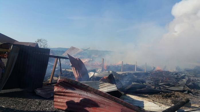 На Закарпатті згоріли будівлі туристичних баз (ФОТО)