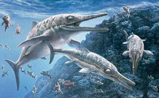 Ученые обнаружили самый крупный скелет редкой морской рептилии (ФОТО)