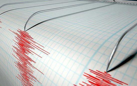 Мощное землетрясение сотрясло побережье Мексики, возникла угроза цунами (ВИДЕО)