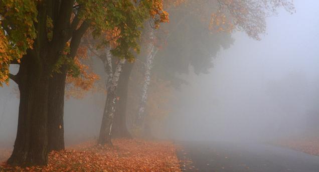 Погода в Україні на 10 жовтня: дощі відступають, можливий туман (КАРТА)