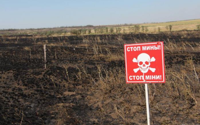 ООН: Донбасс превращается в самый заминированный регион в мире
