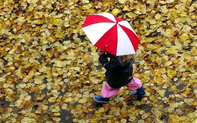 Прогноз погоды на 31 октября: украинцев ждет дождь, мокрый снег и похолодание (КАРТА)