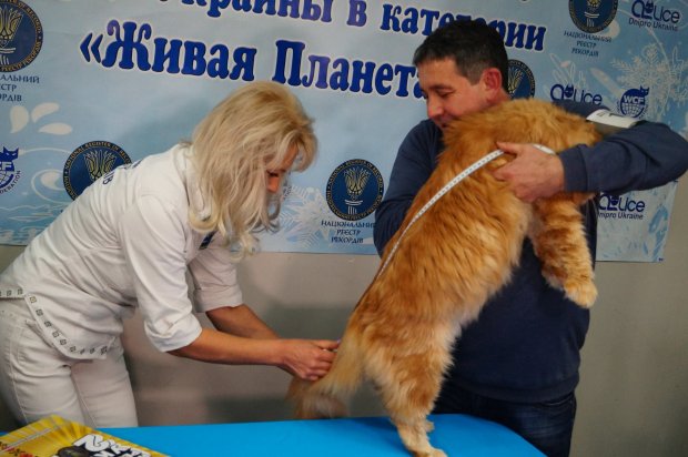 Фото: Facebook Лана Вєтрова 