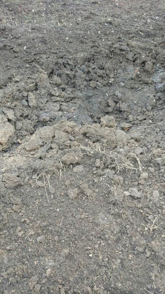 Фото: Facebook Павла Малихіна